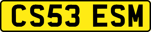 CS53ESM