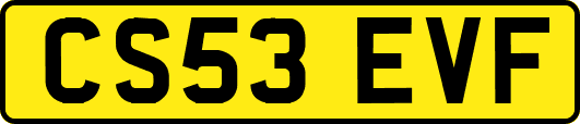 CS53EVF