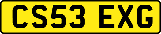 CS53EXG