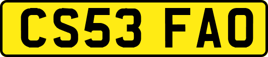 CS53FAO
