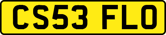 CS53FLO