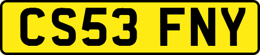 CS53FNY