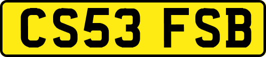 CS53FSB