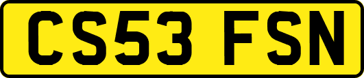 CS53FSN