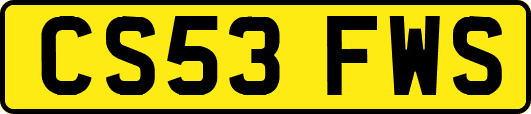 CS53FWS
