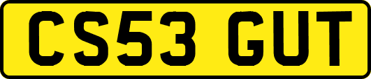 CS53GUT
