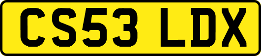 CS53LDX