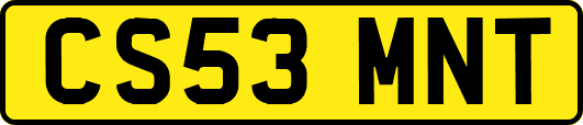 CS53MNT