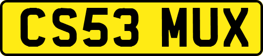 CS53MUX