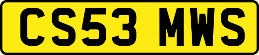 CS53MWS
