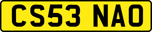CS53NAO