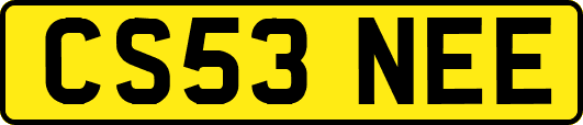 CS53NEE