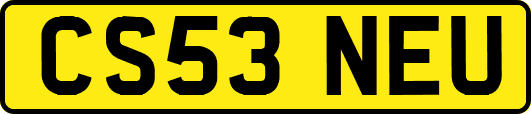 CS53NEU