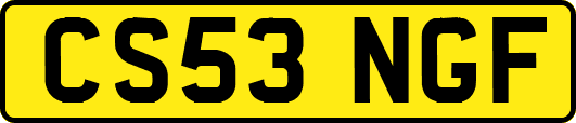 CS53NGF