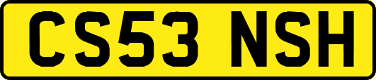CS53NSH