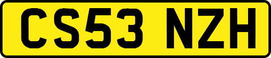 CS53NZH