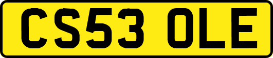 CS53OLE