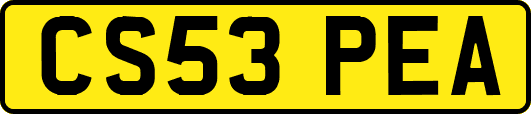 CS53PEA