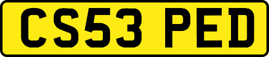 CS53PED