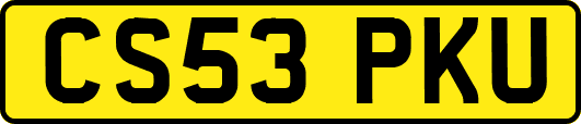 CS53PKU