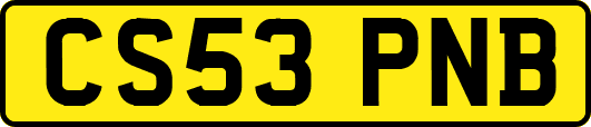 CS53PNB