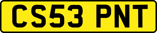 CS53PNT