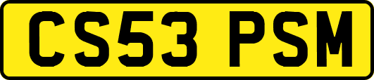 CS53PSM