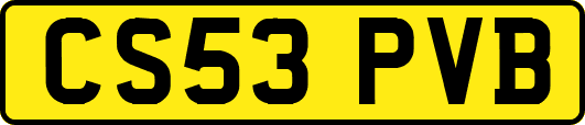 CS53PVB