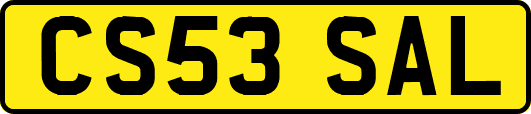 CS53SAL