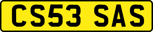CS53SAS