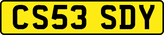 CS53SDY