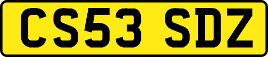 CS53SDZ