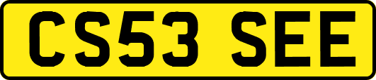 CS53SEE