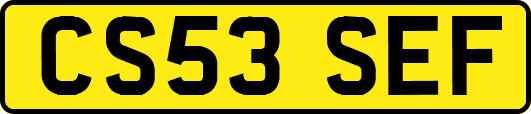 CS53SEF