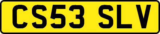 CS53SLV