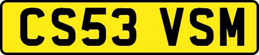 CS53VSM