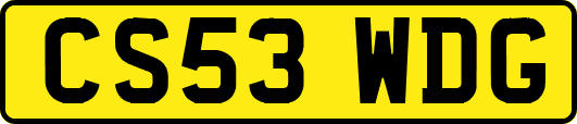 CS53WDG