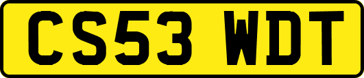 CS53WDT