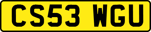 CS53WGU