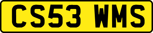 CS53WMS