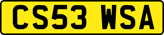 CS53WSA