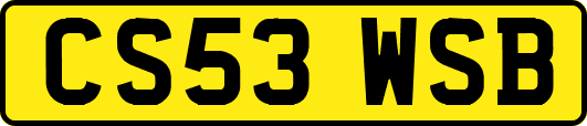 CS53WSB