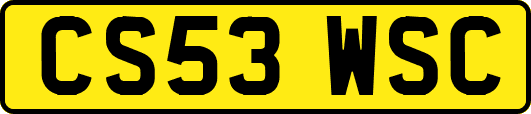 CS53WSC