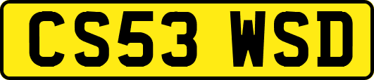 CS53WSD