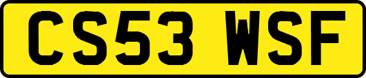 CS53WSF