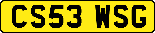 CS53WSG
