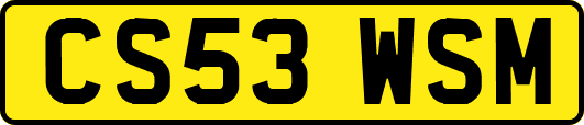 CS53WSM