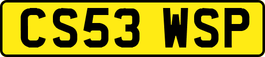 CS53WSP
