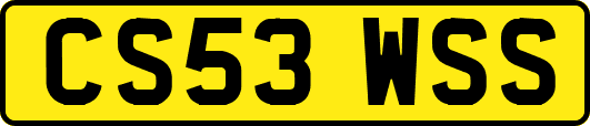 CS53WSS
