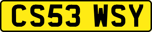 CS53WSY